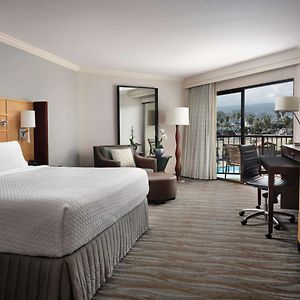 Executive King Room Pool View